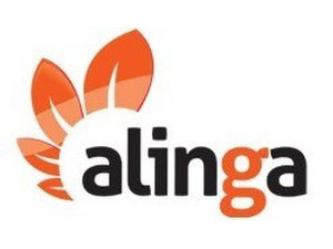 Alinga Ecommerce - Webdesign