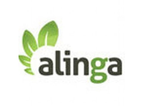 Alinga Web Design - ویب ڈزائیننگ