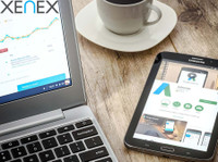 Xenex Media (3) - Webdesign