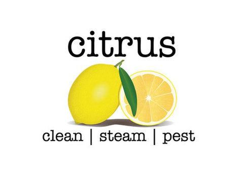 Citrus Clean Steam Pest - Uzkopšanas serviss