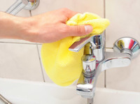 Citrus Clean Steam Pest (1) - Limpeza e serviços de limpeza