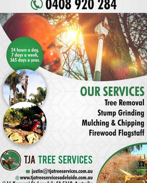 Tree Stump Grinding Adelaide | Tja Tree Services - Jardiniers & Paysagistes