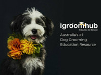 Igroomhub (1) - Pet services