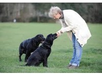 Dogshare - Dog Adoption & Care Service (1) - پالتو سروسز
