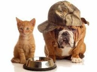 Dogshare - Dog Adoption & Care Service (2) - Servizi per animali domestici