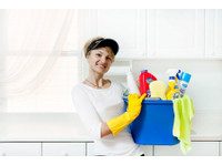 Expert In Cleaning (1) - Čistič a úklidová služba