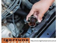 Tigertune Car Care (3) - Автомобилски поправки и сервис на мотор