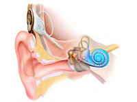 Hearing Professionals Australia (4) - Алтернативно лечение