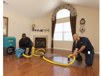 water extraction experts (1) - Cleaners & Cleaning services