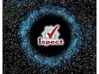 1spect property inspections (3) - Property inspection