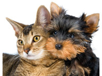 Rilten Kennels (1) - Servicios para mascotas