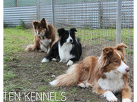 Rilten Kennels (2) - Servicios para mascotas
