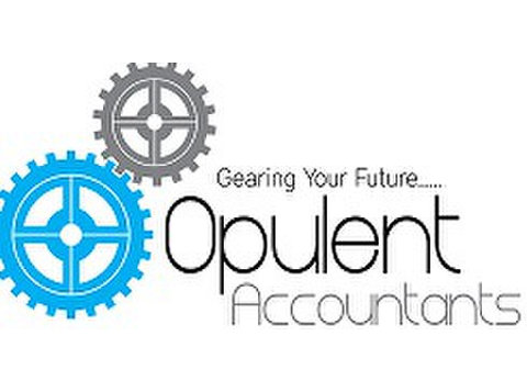 Opulent Accountants - Účetní pro podnikatele