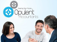 Opulent Accountants (1) - Kirjanpitäjät