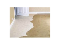Oz Carpet Cleaning (2) - Usługi porządkowe
