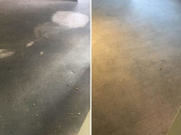 Oz Carpet Cleaning (4) - Čistič a úklidová služba
