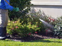 Pest Building & Maintenance (1) - Home & Garden Services
