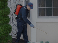 Pest Building & Maintenance (4) - Home & Garden Services