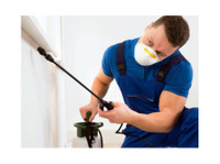 Pest Building & Maintenance (7) - Home & Garden Services