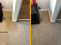 Black Gold Carpet Cleaning (2) - Уборка