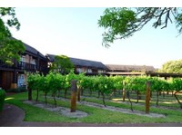 The Vines Resort and Country Club (1) - Hotéis e Pousadas
