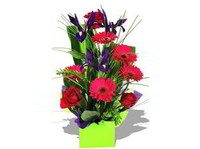 Florist (2) - Подароци и цвеќиња