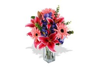 Florist (6) - Regalos y Flores