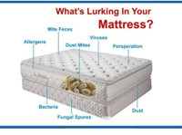 Mattress Steam Cleaning (3) - Cleaners & Cleaning services