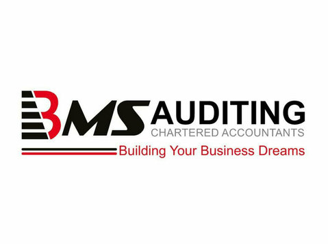 Accounting and Audit Firm in Bahrain | BMS Auditing - Business Accountants