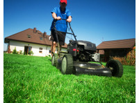 Dfw Lawn Company (2) - Gardeners & Landscaping