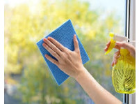Professional Window Cleaners Austin (1) - Bauservices