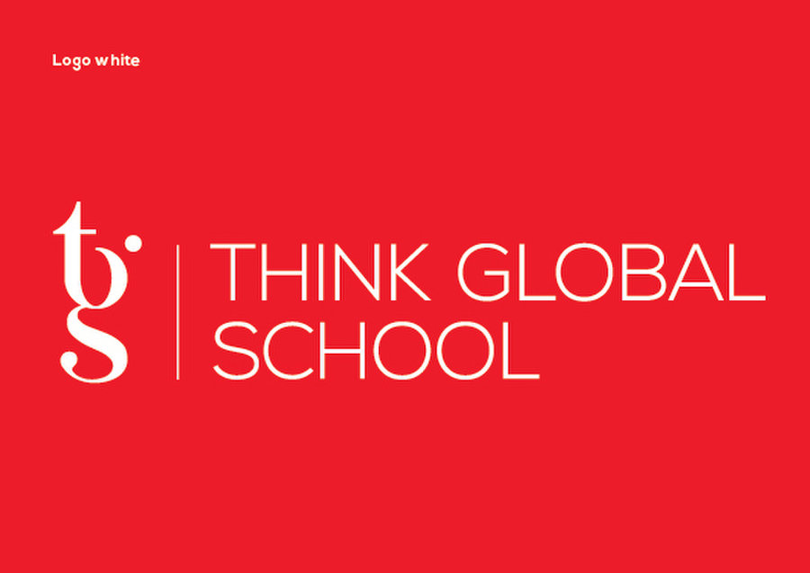 think global education consultancy