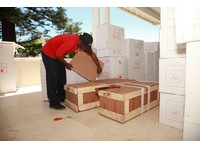 AGS Frasers Botswana (3) - Removals & Transport