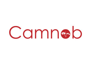 camnob - Бизнес и Мрежи