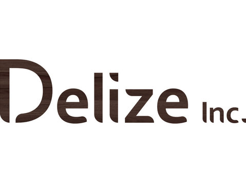 Delize Inc - Услуги за градба