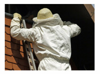 Pestend Pest Control Toronto (3) - Haus- und Gartendienstleistungen