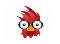 Design Rooster (2) - ویب ڈزائیننگ