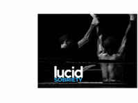 Lucid Sobriety - Sober/Recovery Coach (1) - Alternativní léčba
