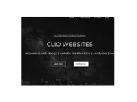 Clio Websites (2) - ویب ڈزائیننگ