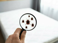 Bed Bug Exterminator Pro (4) - Home & Garden Services