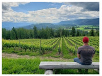 Larch Hills Winery (1) - Viini