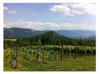 Larch Hills Winery (3) - Wein