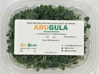Ari Acres Microgreens (2) - Organic food