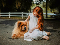 The Dog Connection (1) - Servicios para mascotas