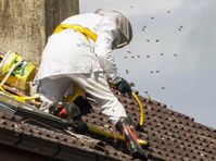 Pestend Pest Control London (3) - Haus- und Gartendienstleistungen