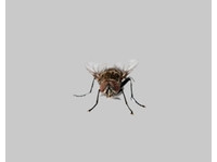 Reliable Pest Control (3) - Schoonmaak