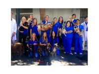 Rose Canyon Animal Hospital (2) - Serviços de mascotas