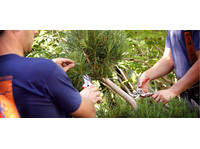 Alberta Arborists (9) - Home & Garden Services