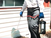 Maple Ridge Pest Control Guy (4) - Haus- und Gartendienstleistungen