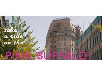 Pink Buffalo Films - Video Production, Digital Marketing (5) - Movies, Cinemas & Films
